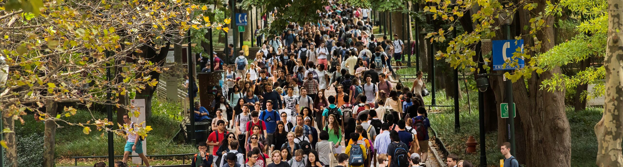 Students walking on Locust Walk